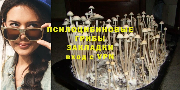 mdpv Заводоуковск