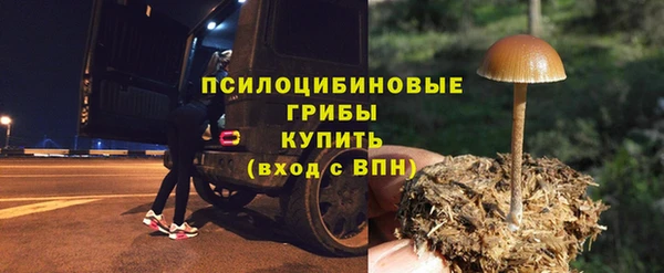 mdpv Заводоуковск