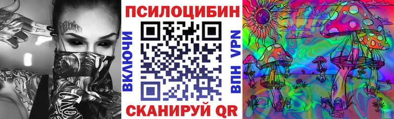Купить закладки Дудинка Псилоцибиновые грибы Magic Shrooms